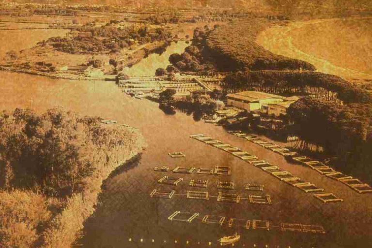 Storia della Cooperativa Pescatori Tortolì – 80 Anni di Tradizione e Qualità Artigianale