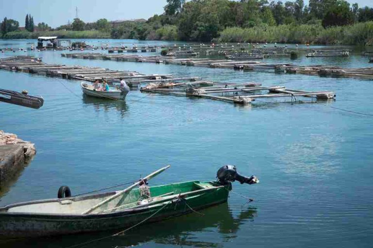 Festival della Laguna di Tortolì il 4 Dicembre 2022