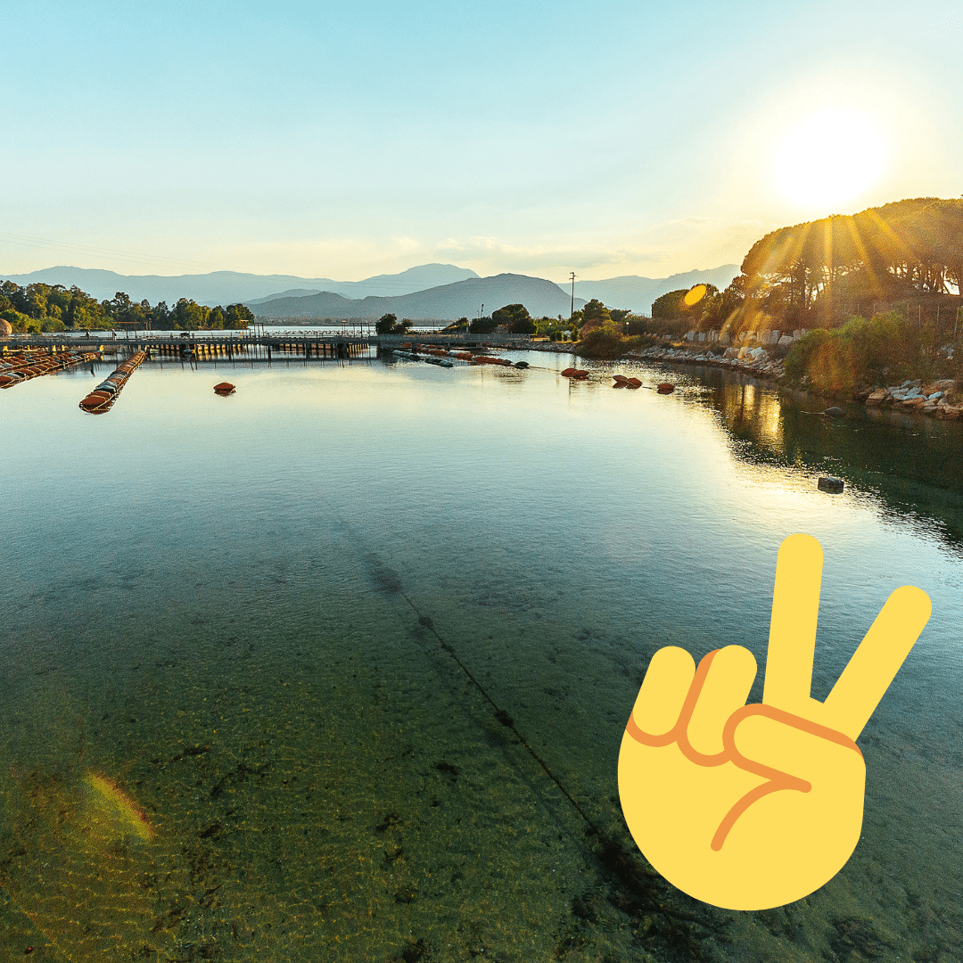 elezioni 2022 2 Cooperativa Pescatori Tortolì