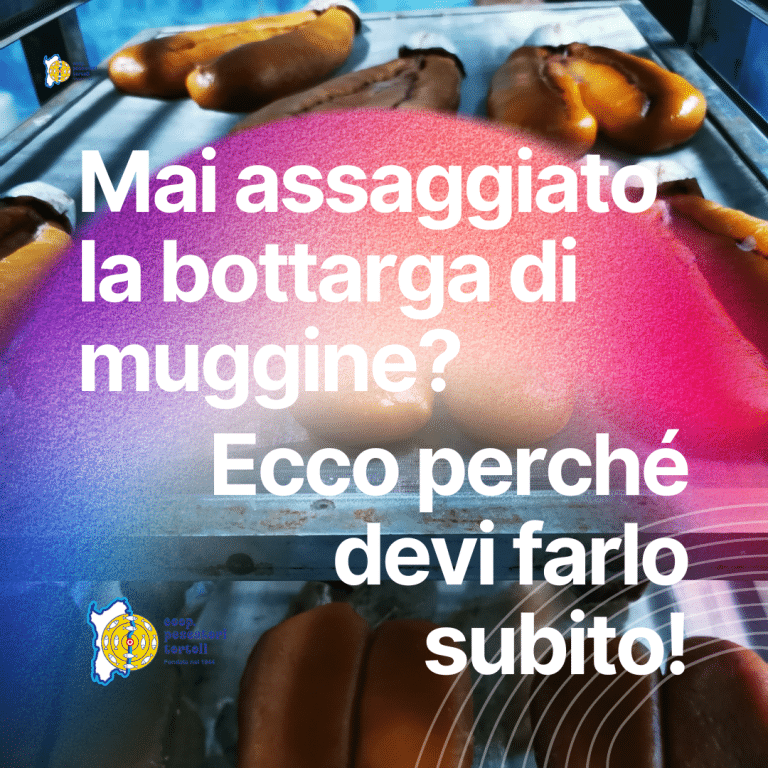 Mai assaggiato la bottarga di muggine? Ecco perché devi farlo subito!