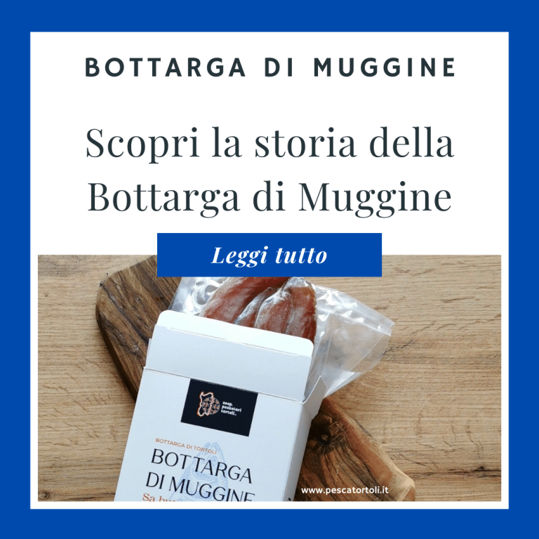 Scopri la Storia della Bottarga di Muggine – Tradizione e Qualità Artigianale