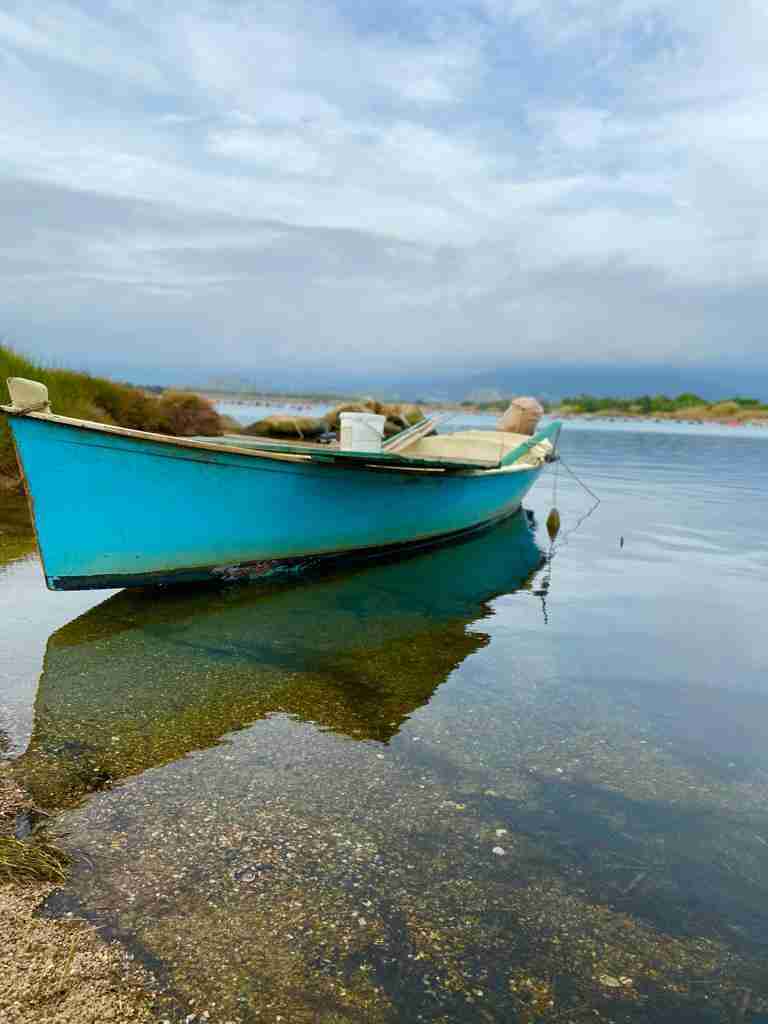 Migliore Bottarga di Muggine 2024: Tradizione Sarda e Innovazione Artigianale 4 Stagno di Tortolì - Habitat naturale per il muggine selvatico
