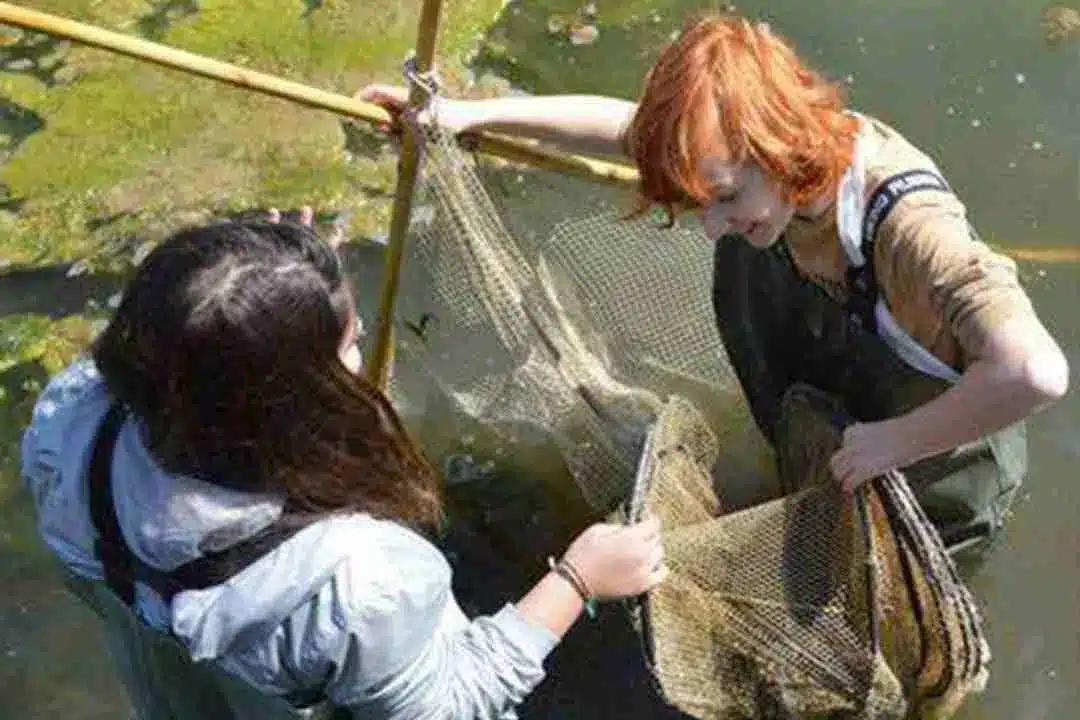 FATTORIA9 1080x720 1 Cooperativa Pescatori Tortolì