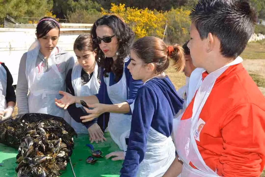 Chi Siamo 20 FattoriaDidattica Cooperativa Pescatori Tortolì