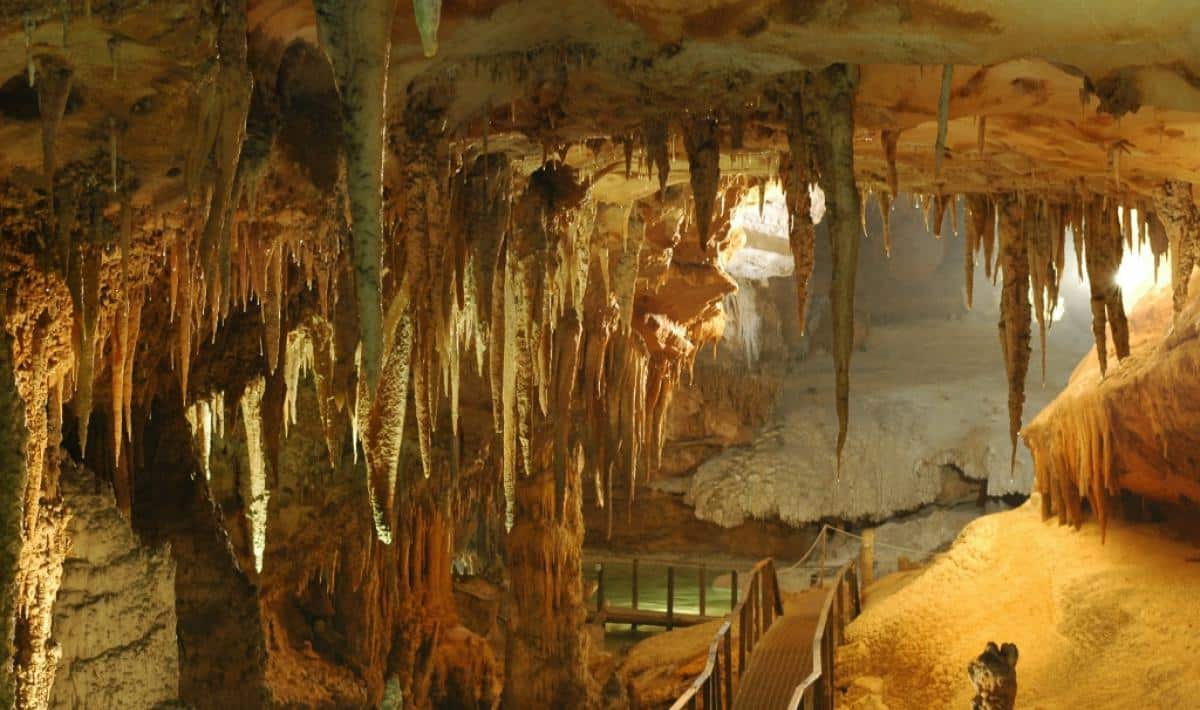 https://pescatortoli.leai.it/wp-content/uploads/2026/02/ramo_turistico_galleria_principale_grotta_del_fico.jpg